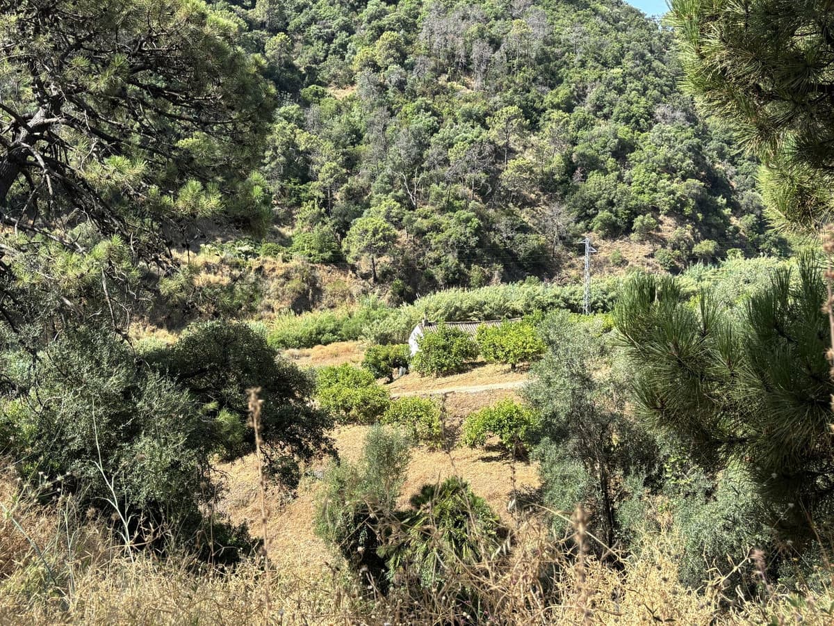Land in El Padron — photo 5 of 10