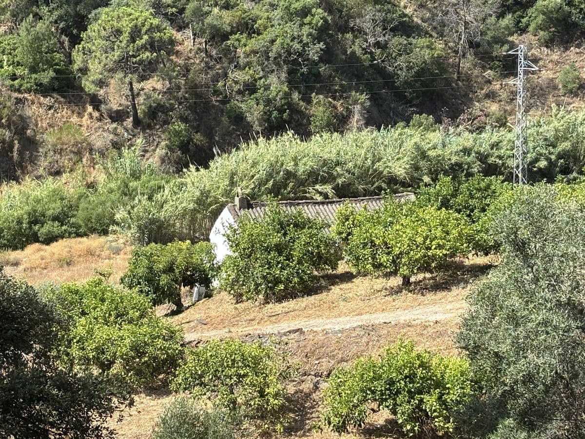 Land in El Padron — photo 6 of 10