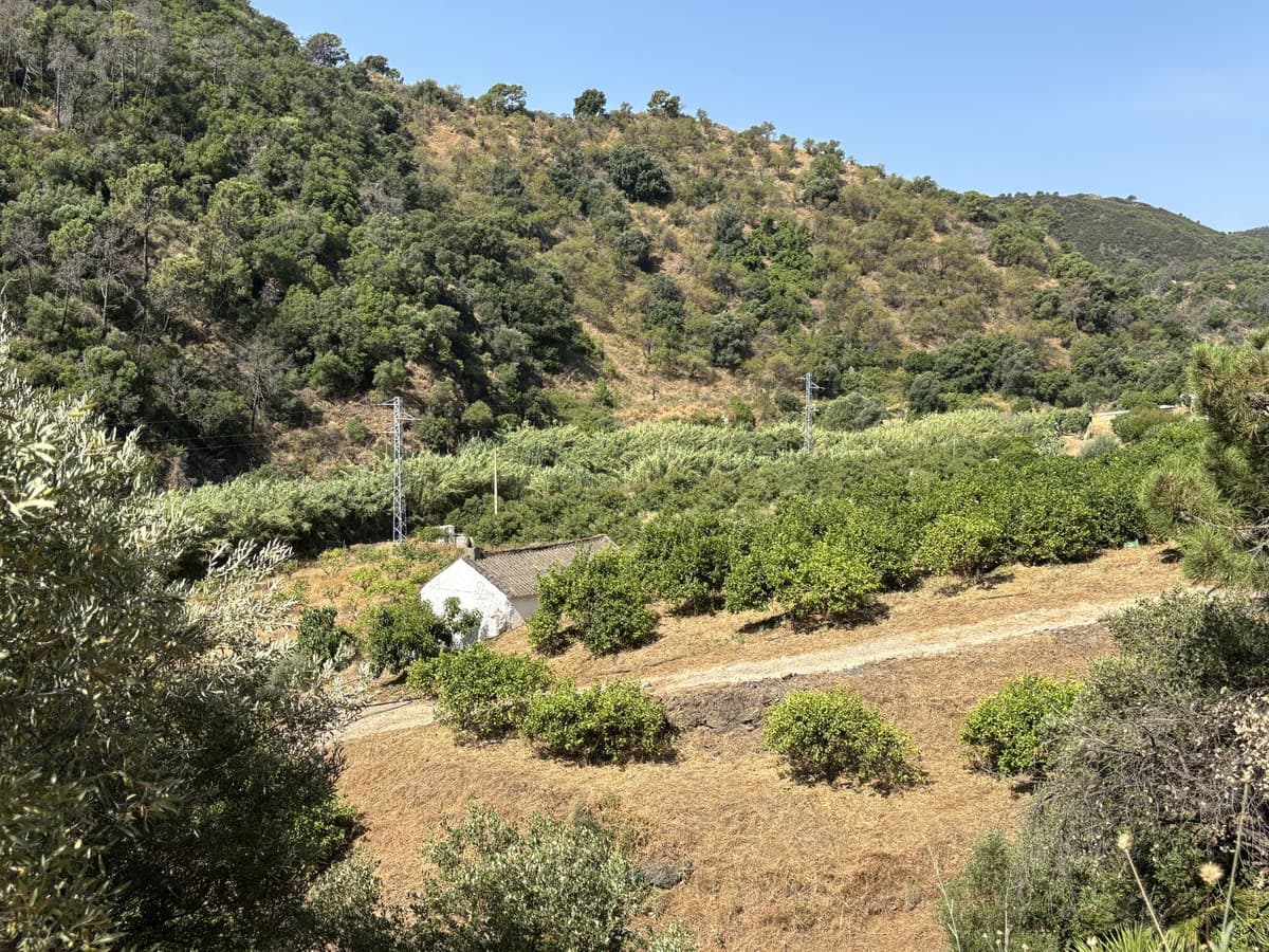 Land in El Padron — photo 7 of 10