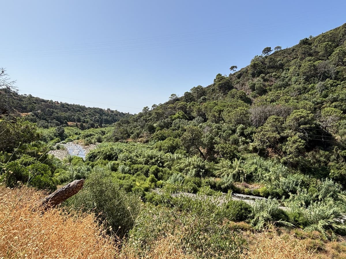 Land in El Padron — photo 9 of 10