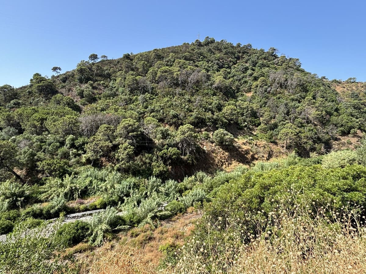 Land in El Padron — photo 10 of 10