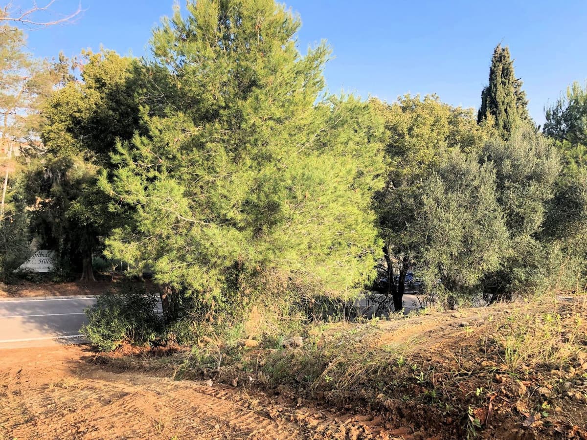Residential Plot in Sotogrande Alto — photo 2 of 6