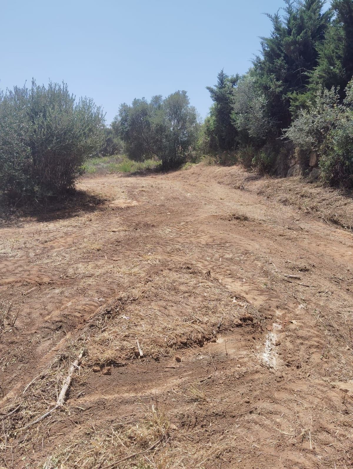 Residential Plot in Sotogrande Alto — photo 4 of 6