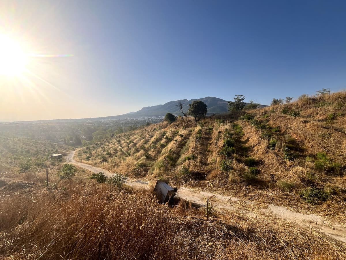 Land in Alhaurín el Grande — photo 1 of 10