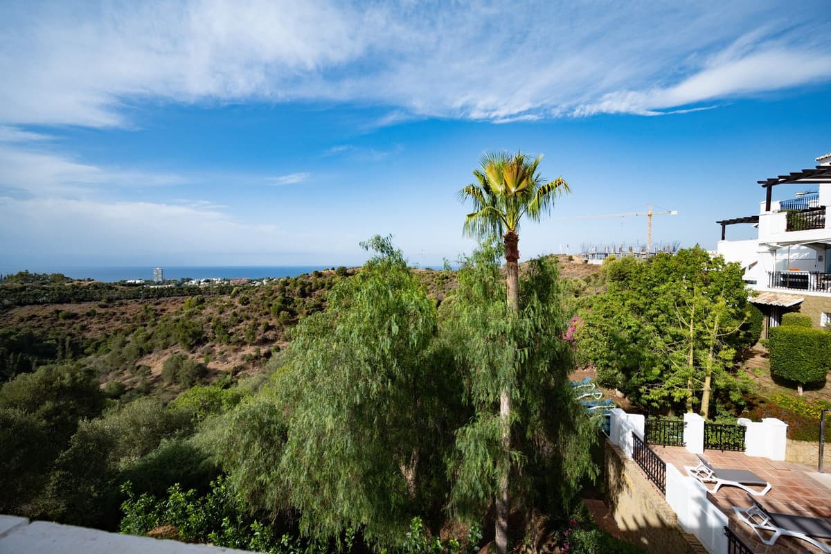 Penthouse Duplex in Altos de los Monteros — photo 3 of 10