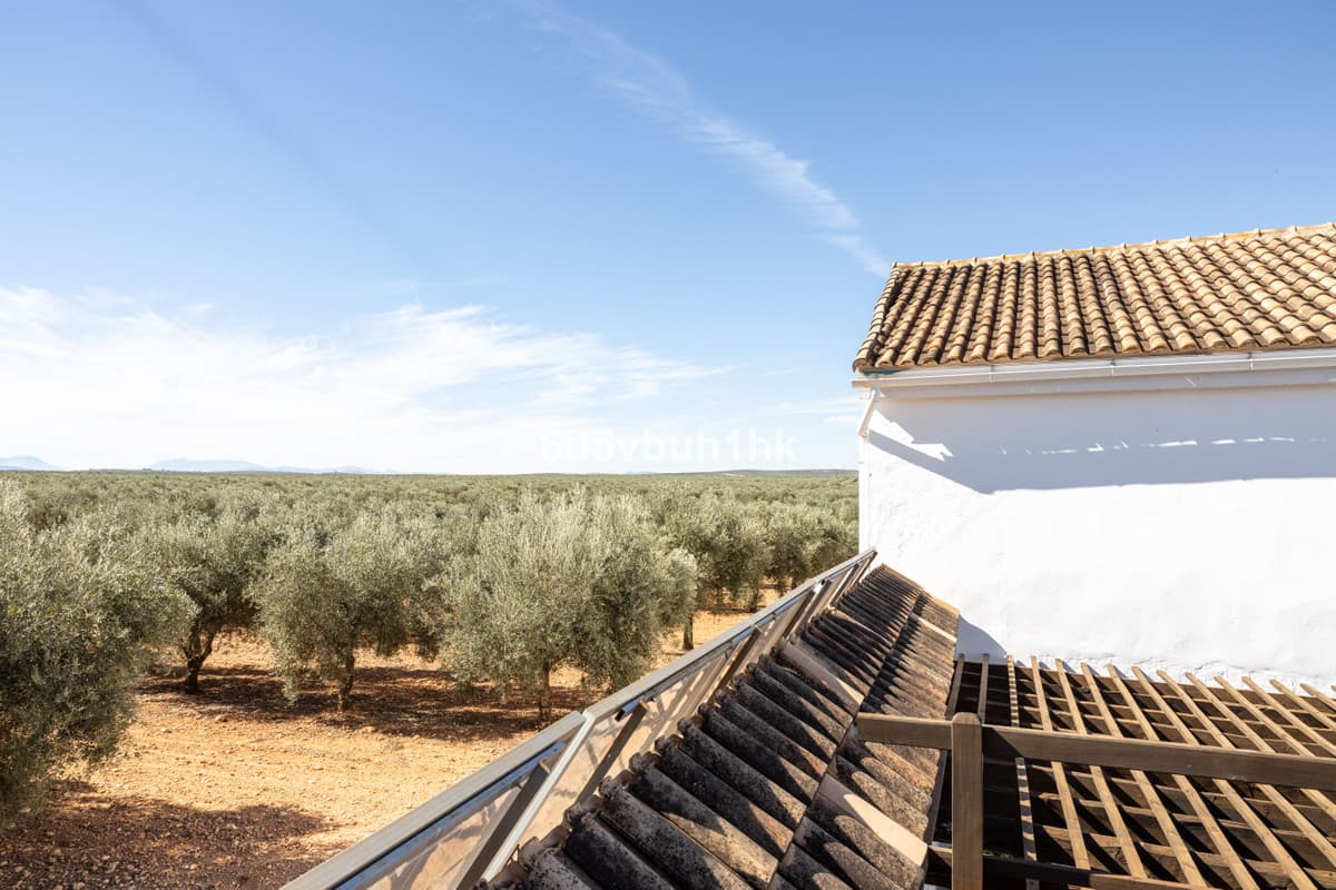 Detached Villa in Antequera — photo 10 of 10
