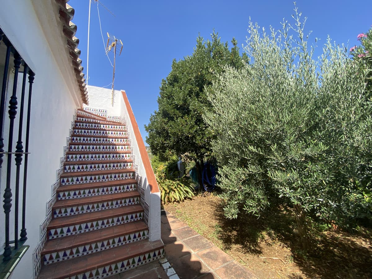 Cortijo in Estepona — photo 6 of 10