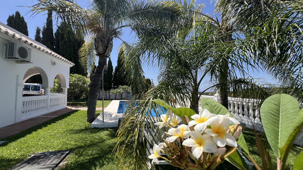 Cortijo in Estepona — photo 8 of 10