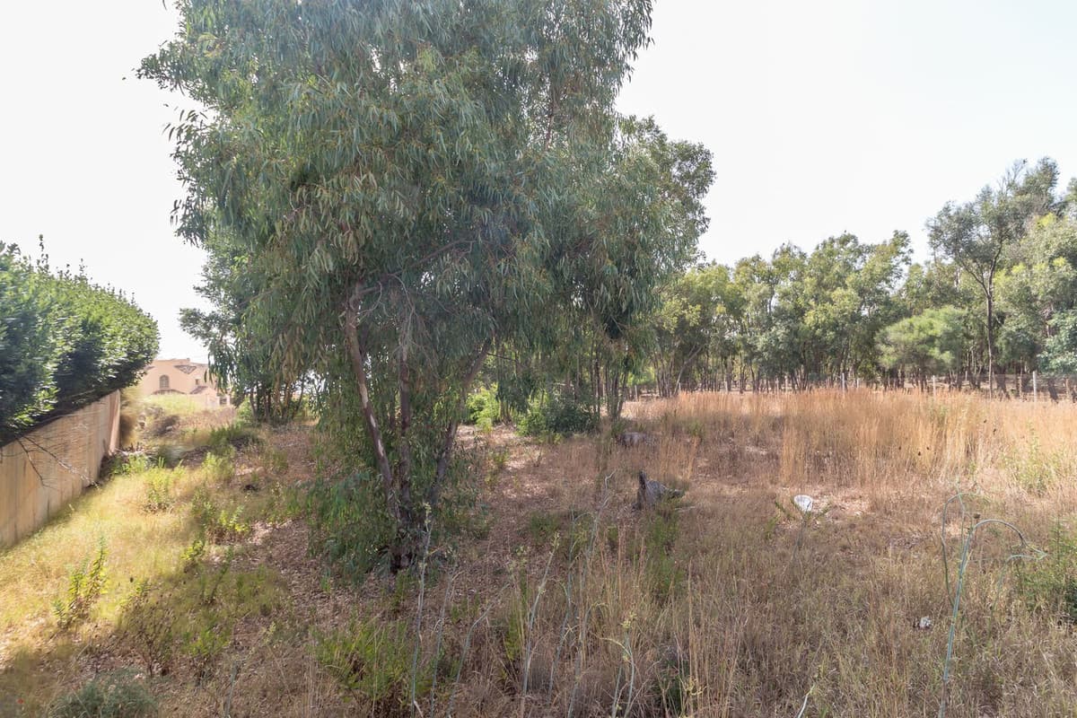 Residential Plot in Manilva — photo 6 of 10