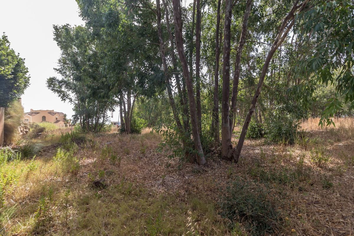 Residential Plot in Manilva — photo 7 of 10