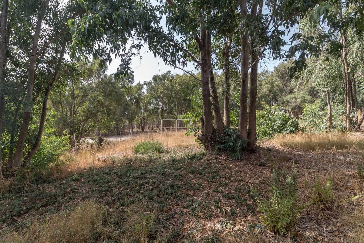 Residential Plot in Manilva — photo 9 of 10