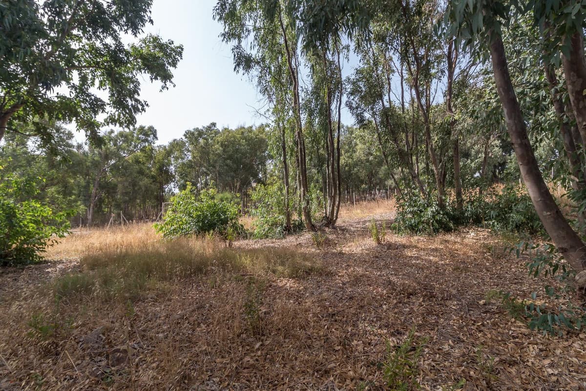 Residential Plot in Manilva — photo 10 of 10