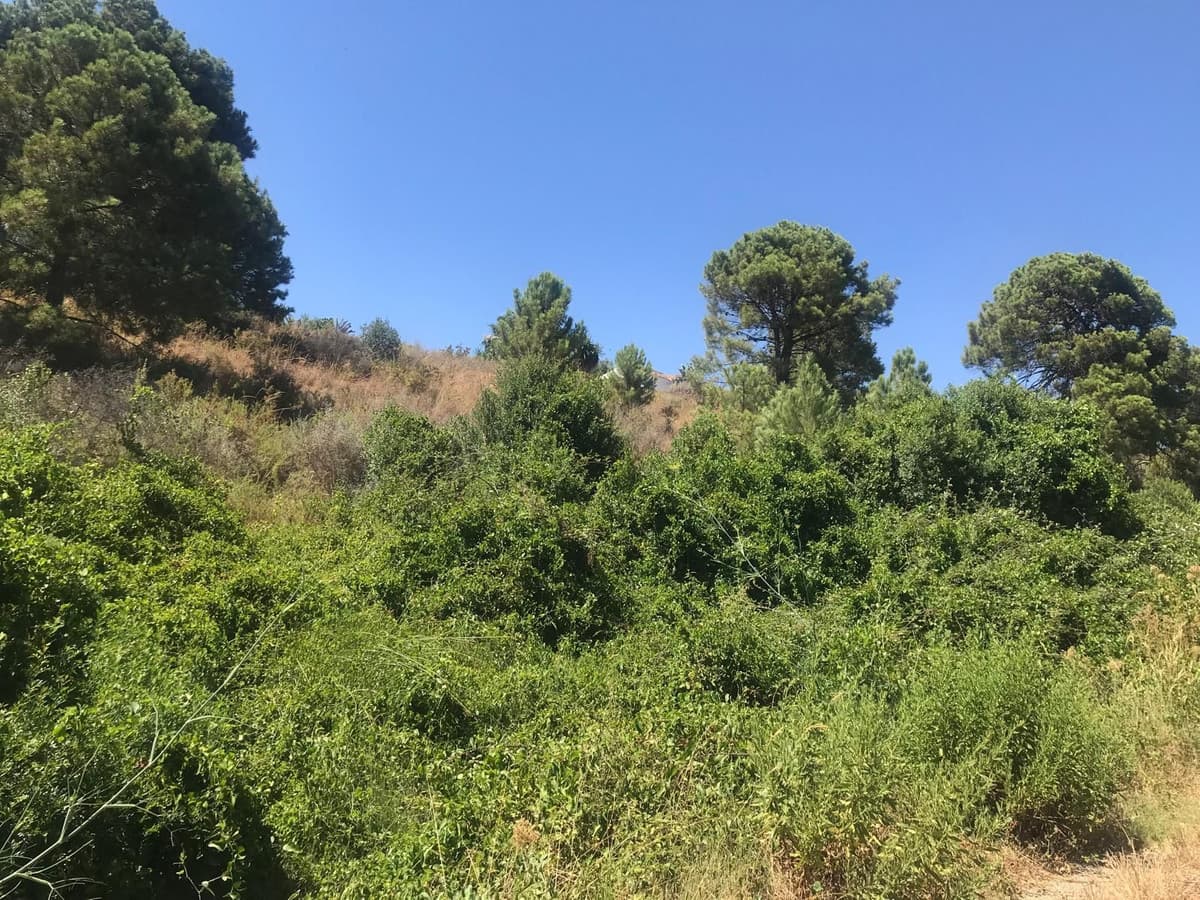 Land in Estepona — photo 4 of 8