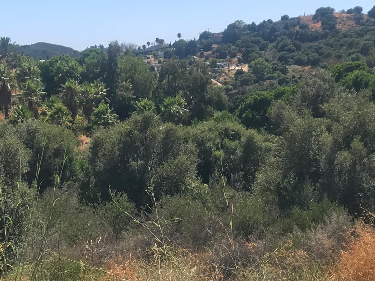 Land in Estepona — photo 5 of 8