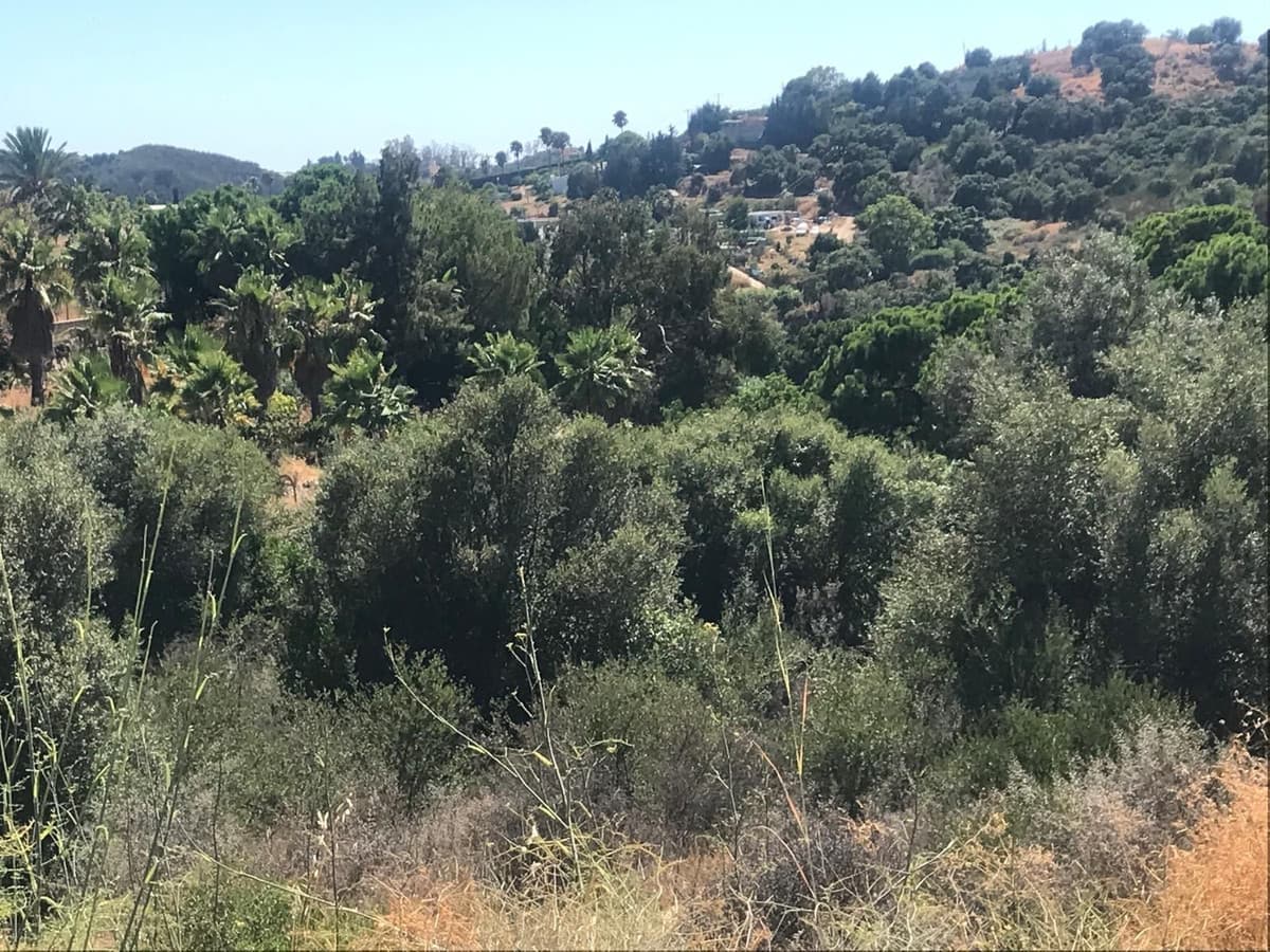 Land in Estepona — photo 6 of 8