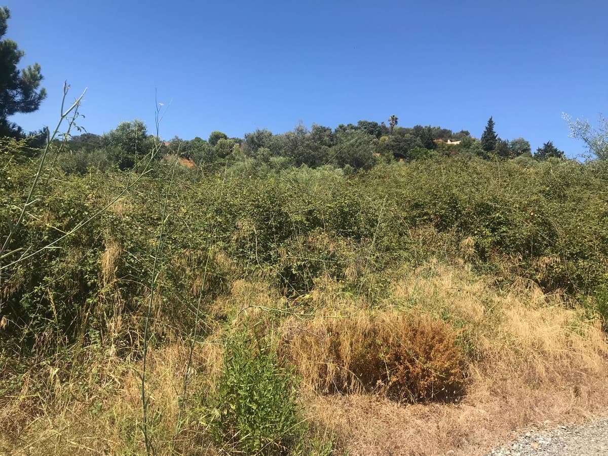 Land in Estepona — photo 7 of 8