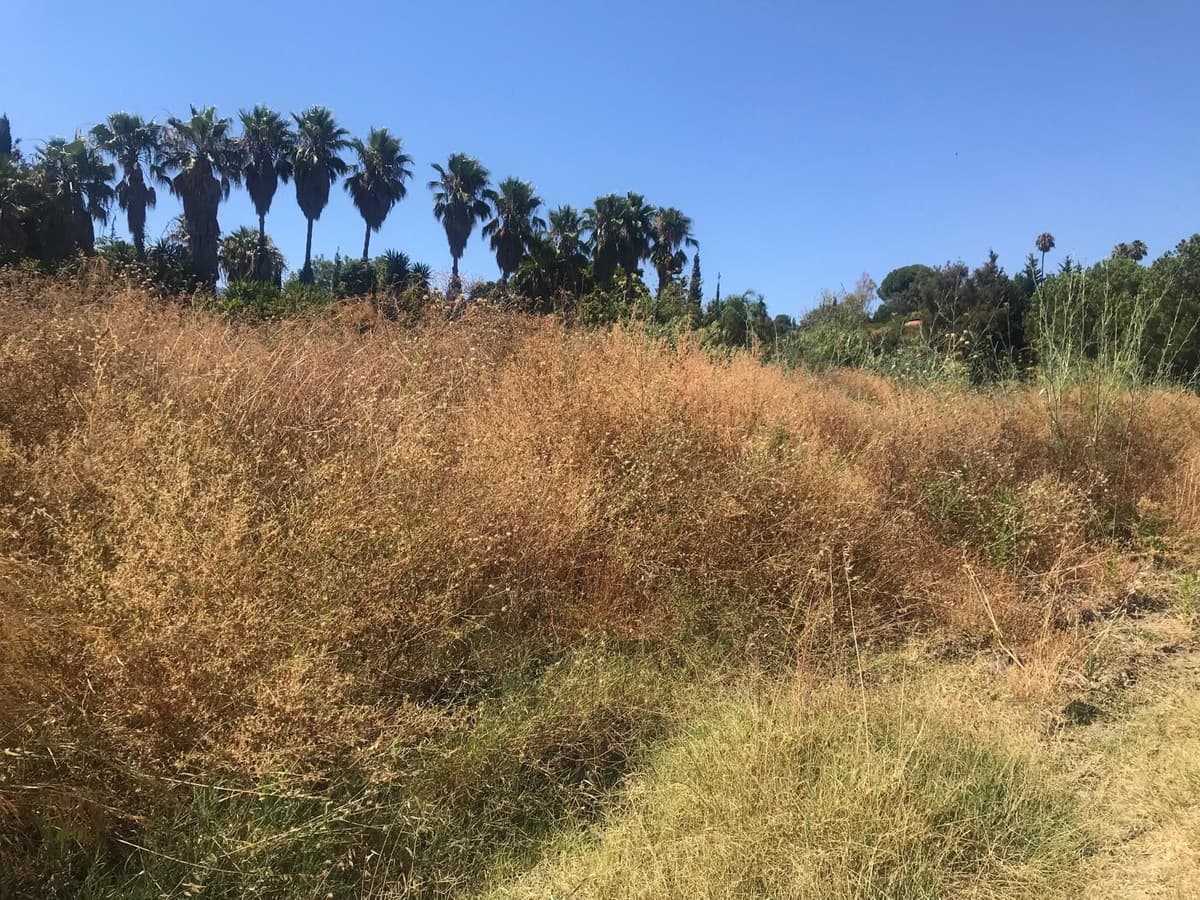 Land in Estepona — photo 8 of 8
