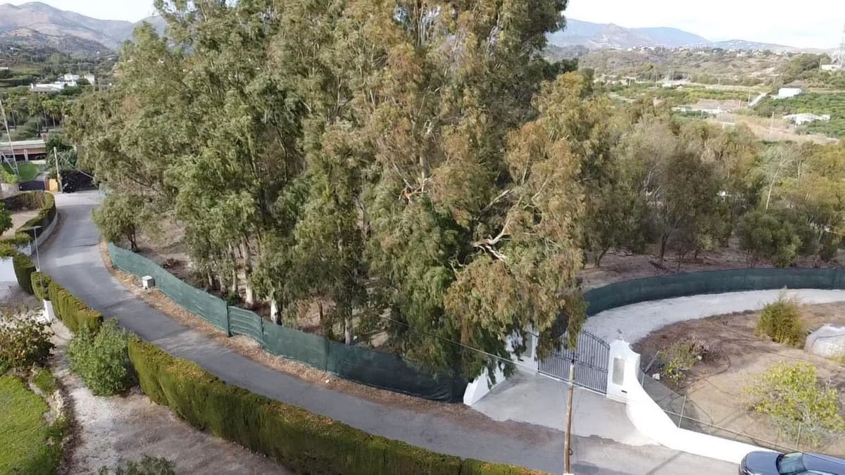 Land in Estepona — photo 5 of 9