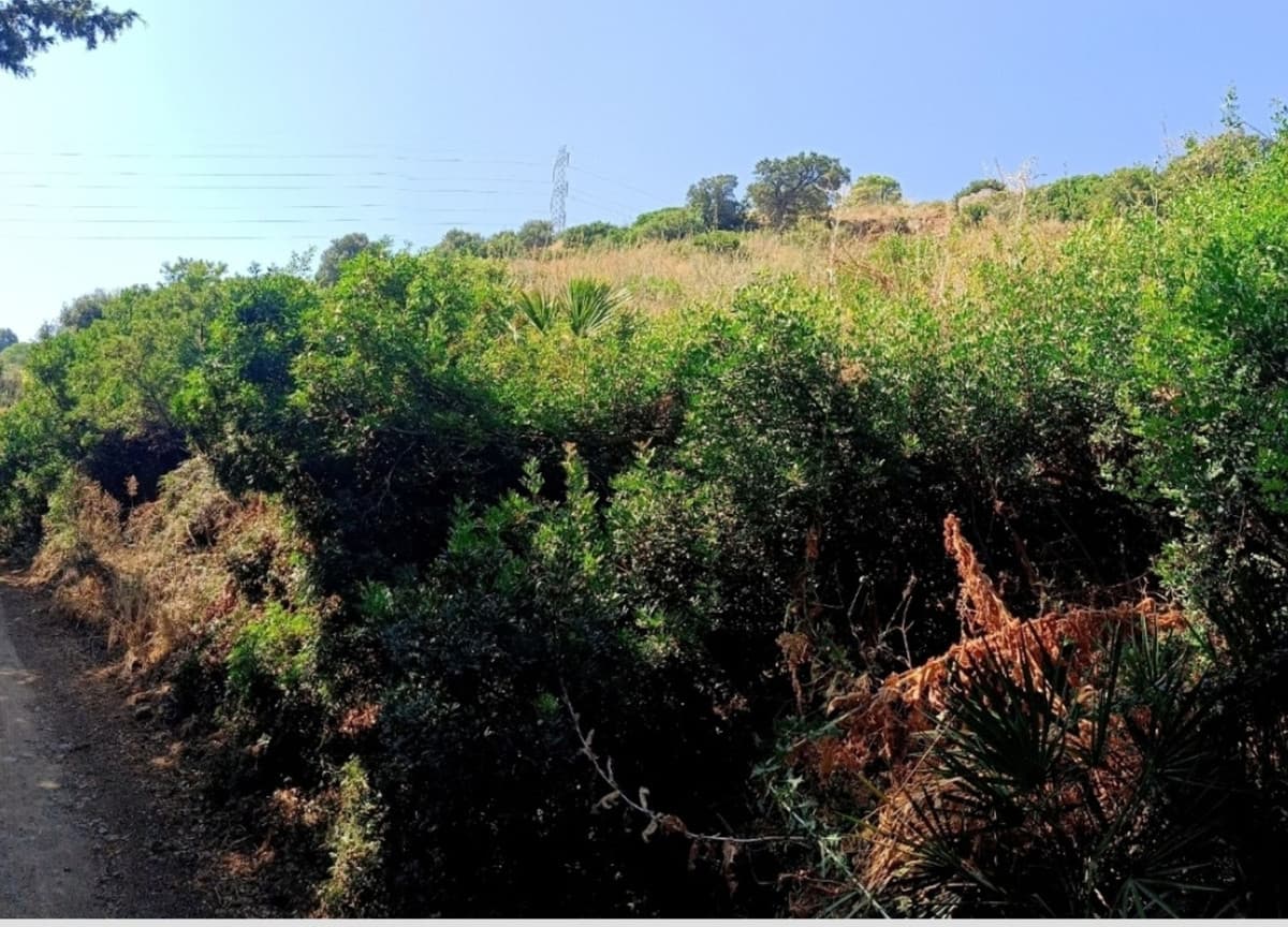 Land in Estepona — photo 1 of 9
