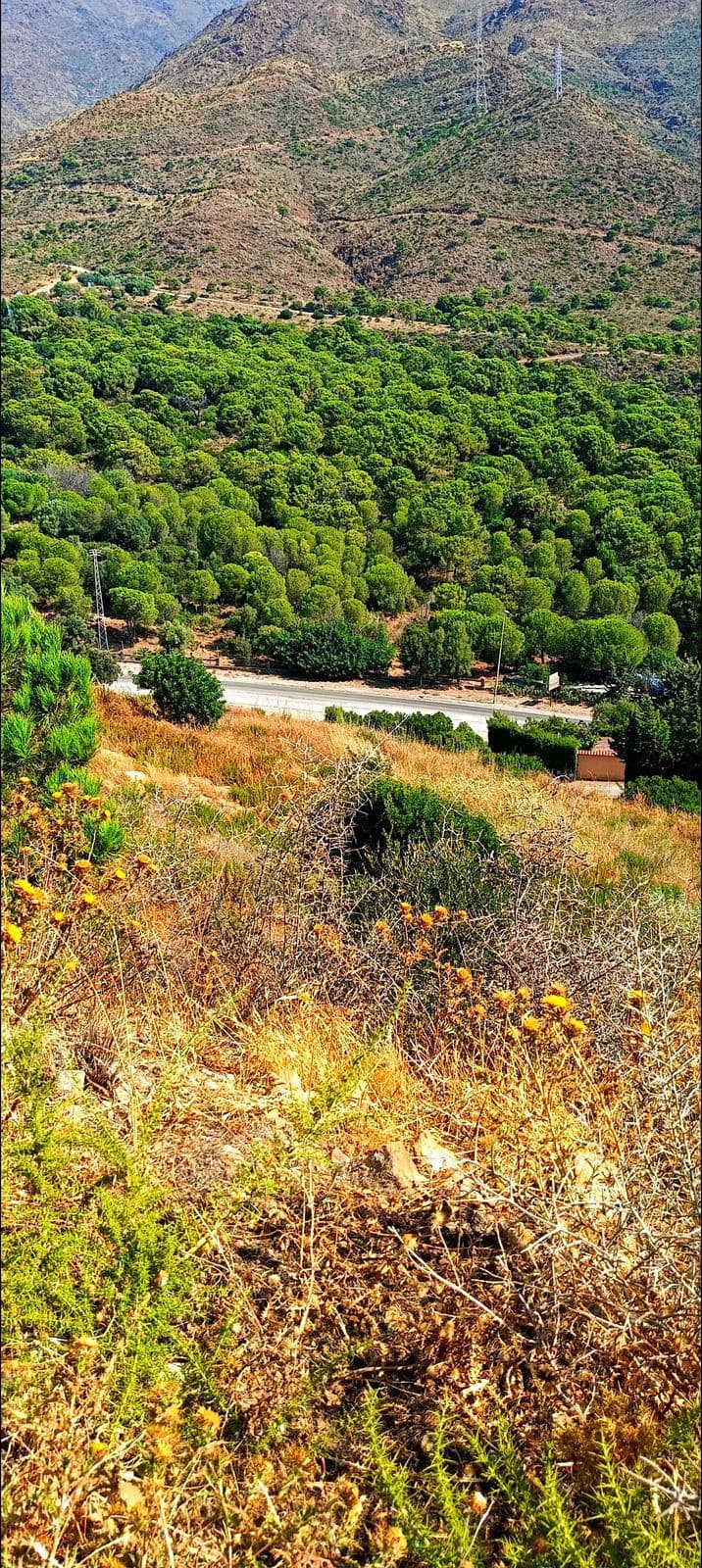 Land in Estepona — photo 5 of 9