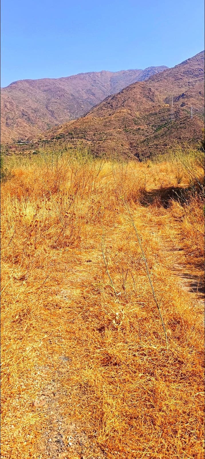 Land in Estepona — photo 6 of 9