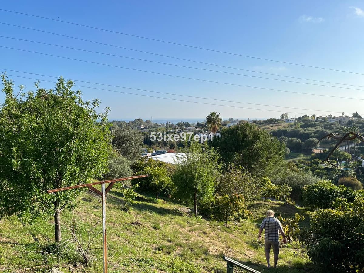 Cortijo in Estepona — photo 5 of 10