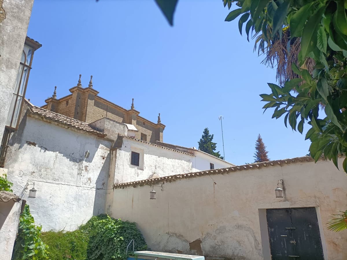 Detached Villa in Ronda — photo 5 of 10