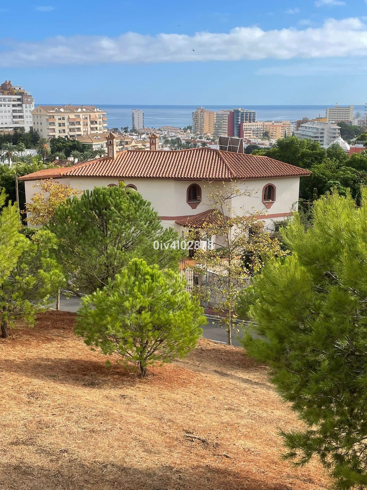 Detached Villa in Benalmadena Costa — photo 3 of 10