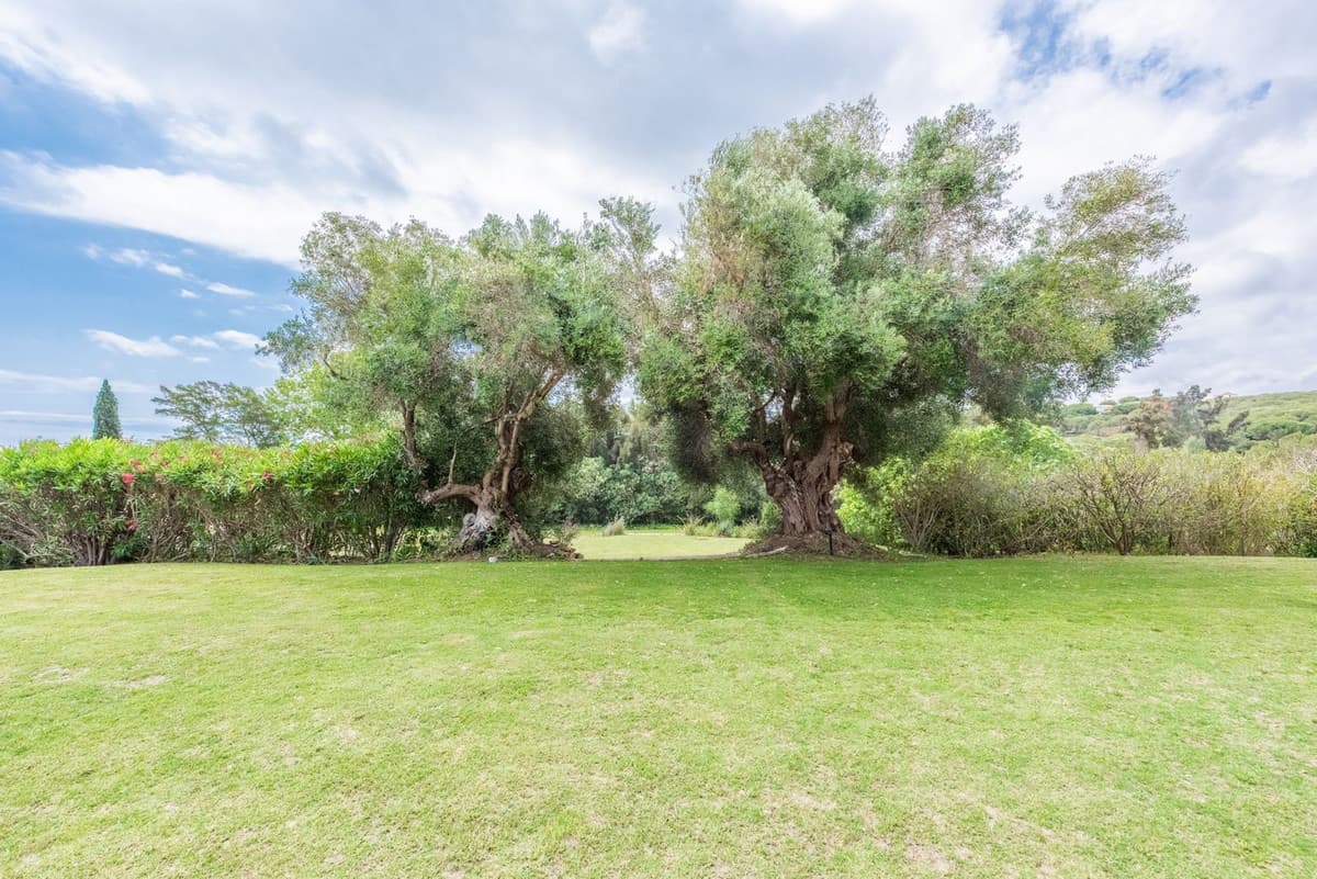 Detached Villa in Sotogrande Alto — photo 2 of 10