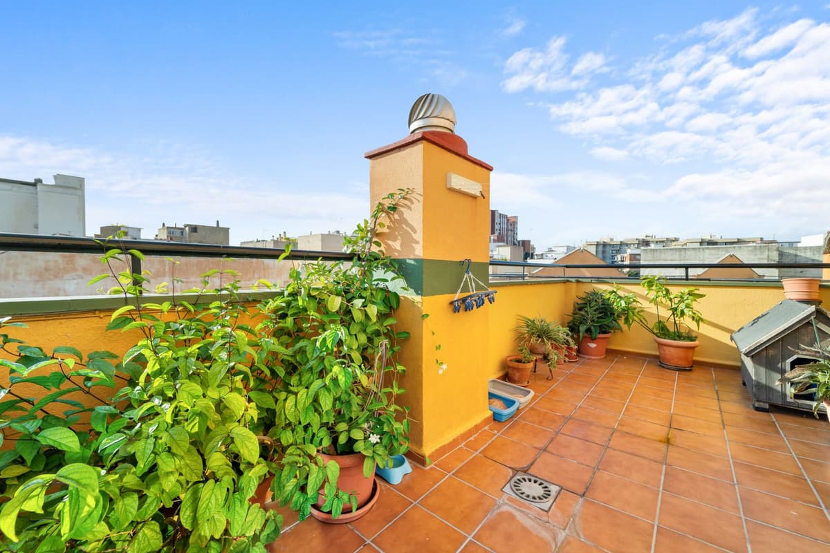 Penthouse Duplex in Málaga — photo 2 of 10