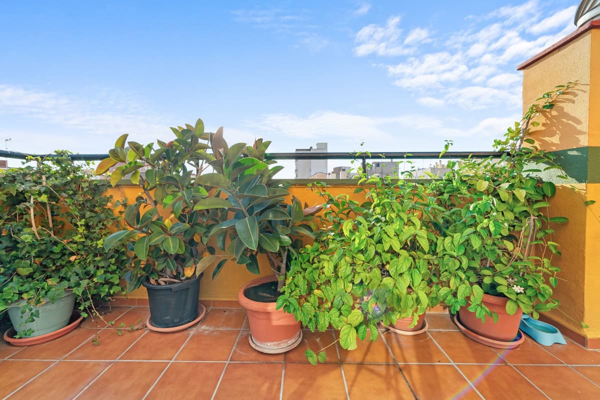 Penthouse Duplex in Málaga — photo 4 of 10