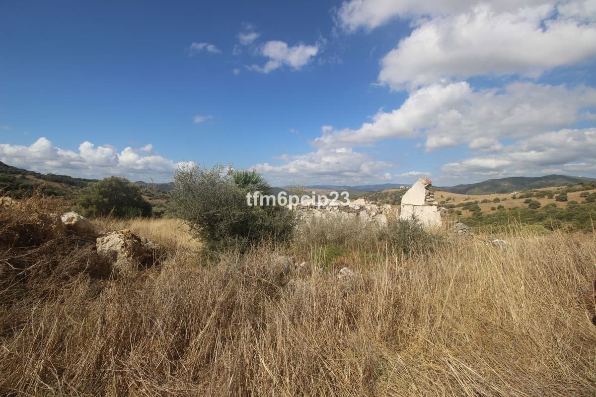 Land with Ruin in Casares — photo 1 of 10