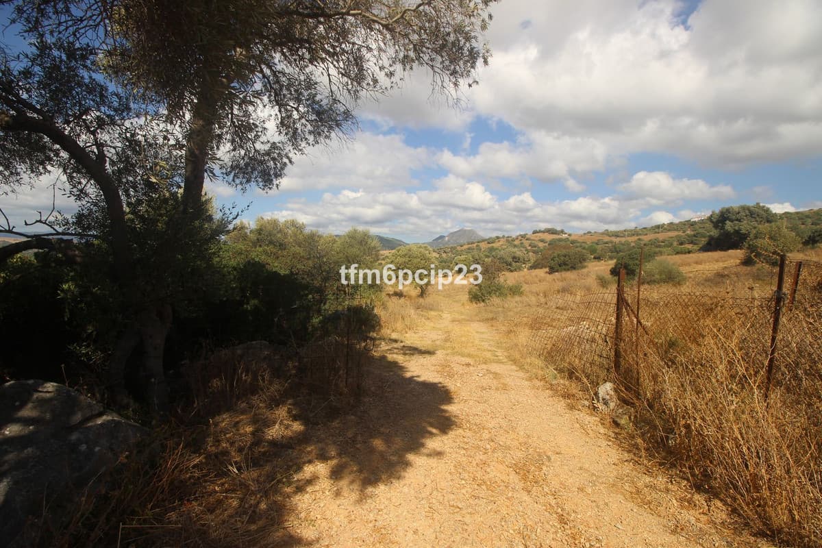 Land with Ruin in Casares — photo 2 of 10
