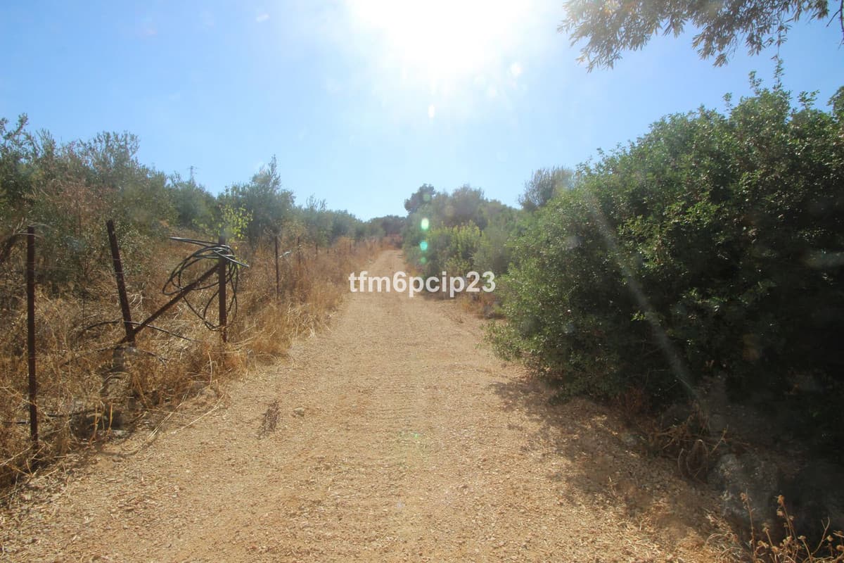 Land with Ruin in Casares — photo 3 of 10