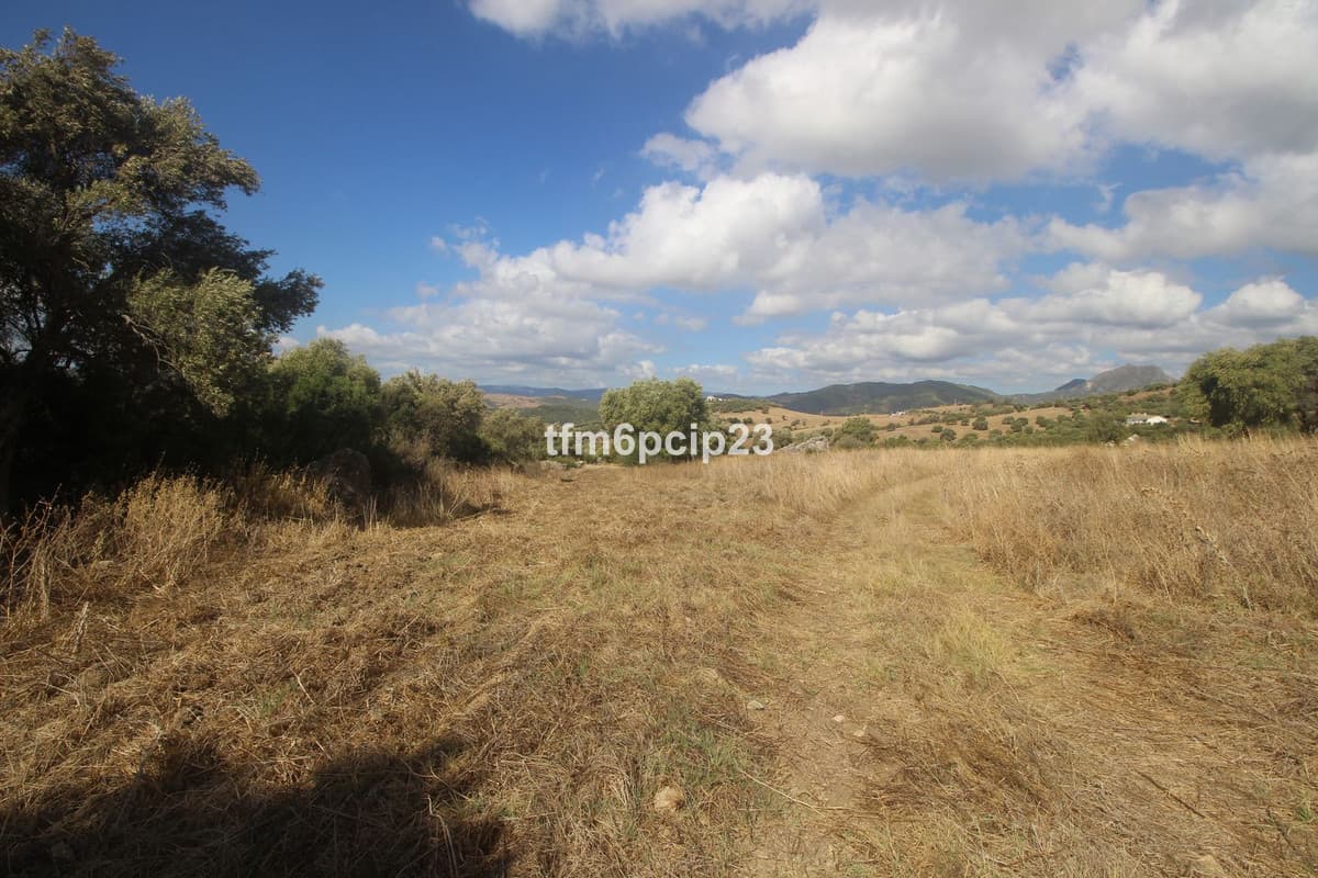 Land with Ruin in Casares — photo 4 of 10