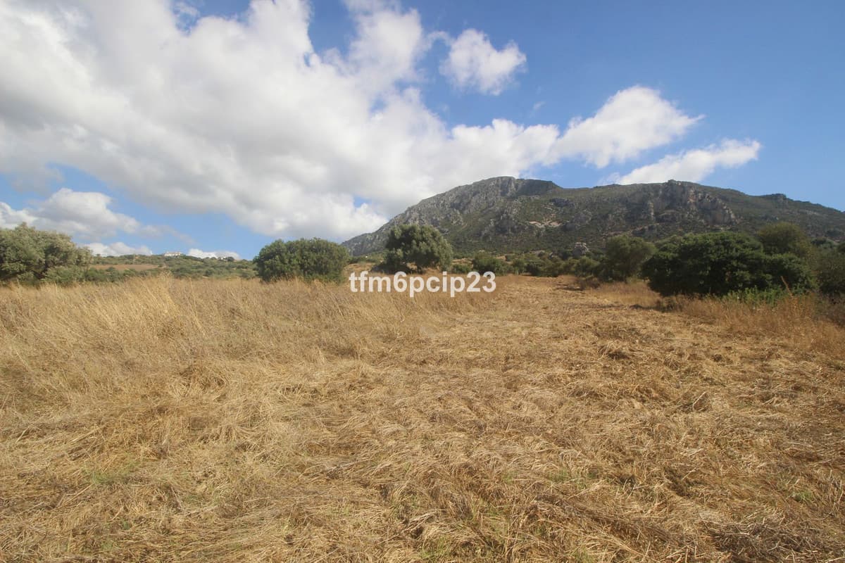 Land with Ruin in Casares — photo 5 of 10