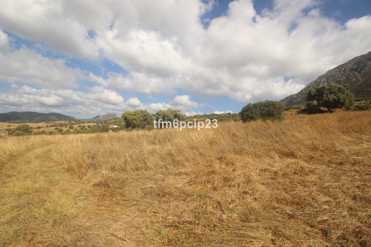 Land with Ruin in Casares — photo 6 of 10
