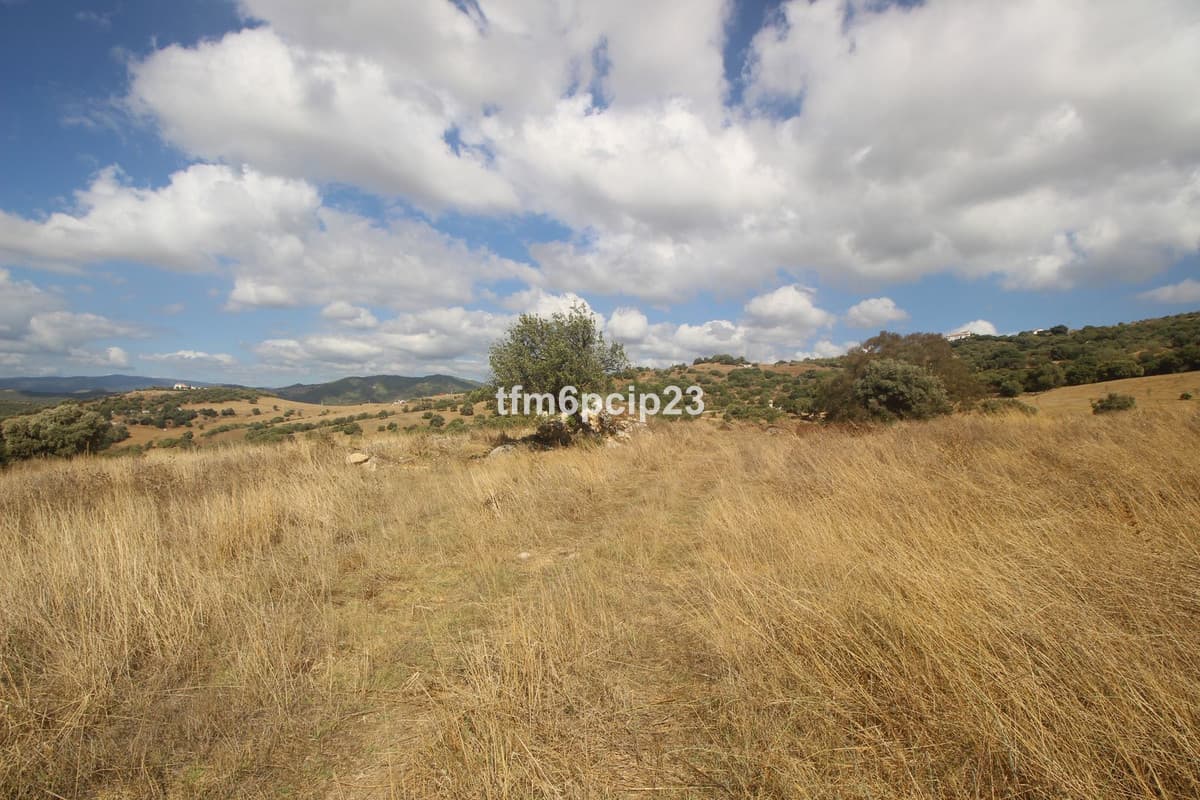 Land with Ruin in Casares — photo 7 of 10