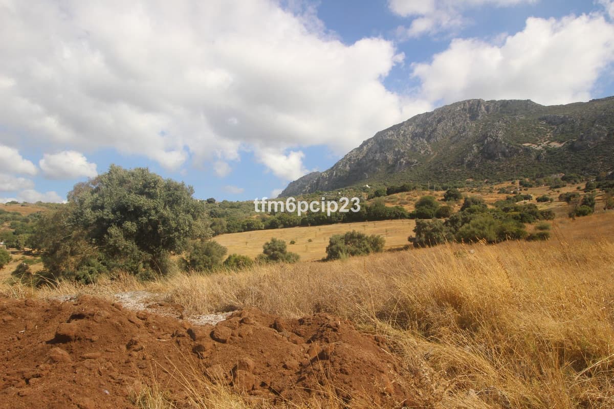 Land with Ruin in Casares — photo 8 of 10