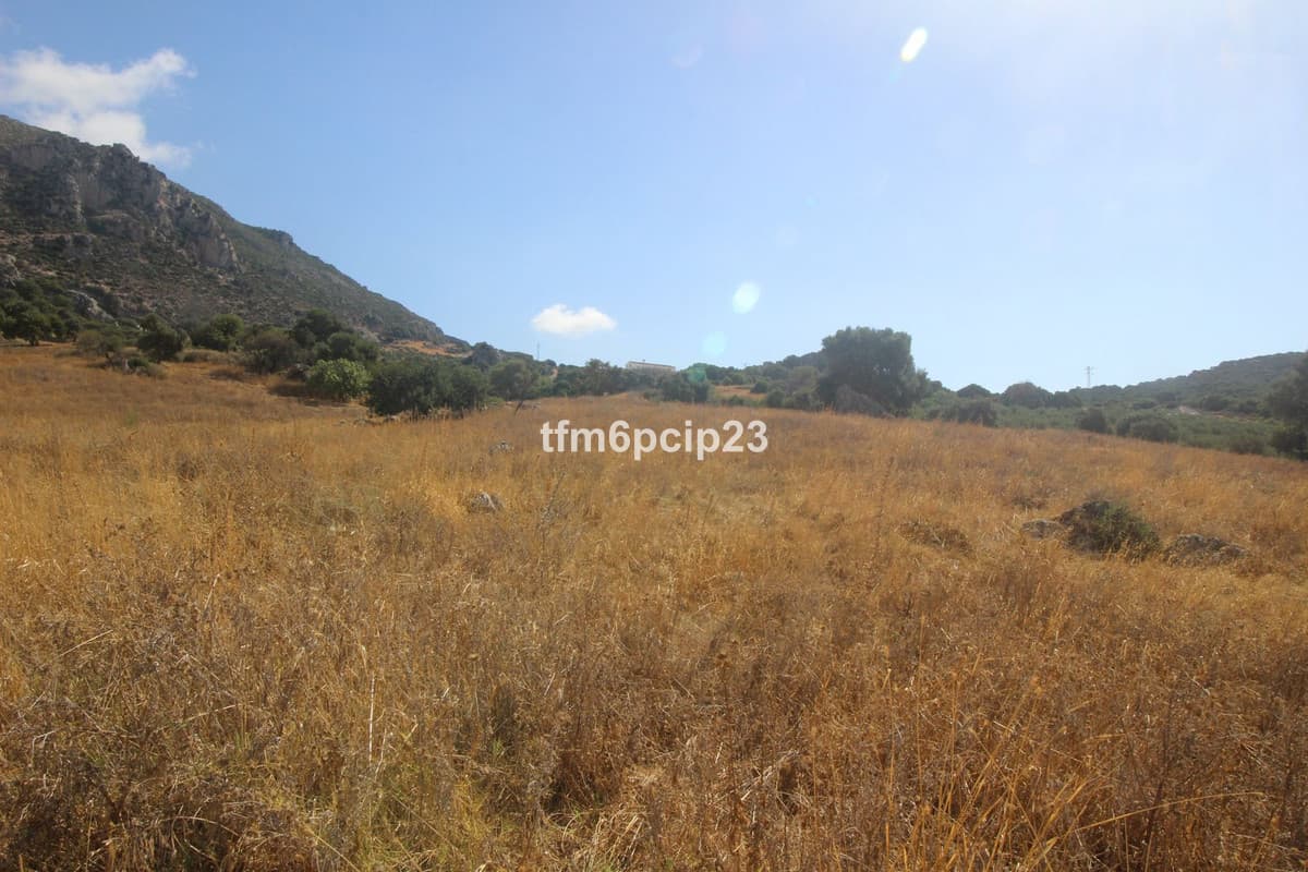 Land with Ruin in Casares — photo 9 of 10