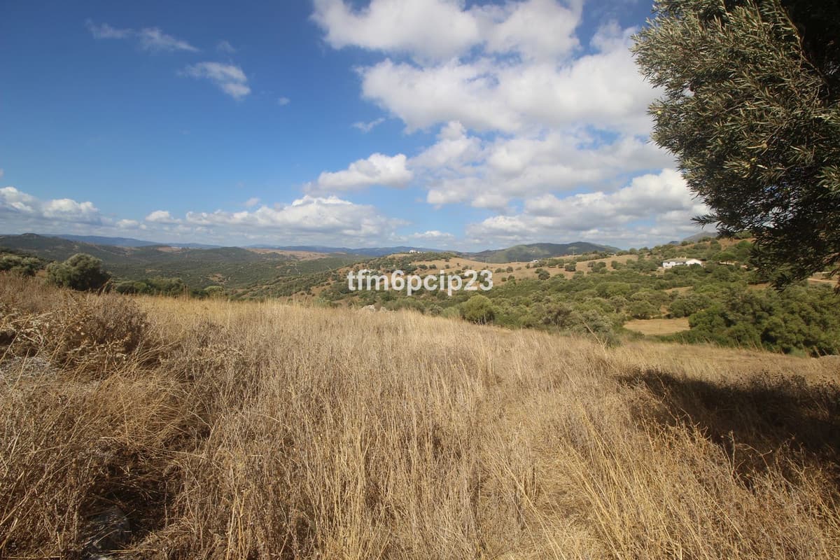 Land with Ruin in Casares — photo 10 of 10