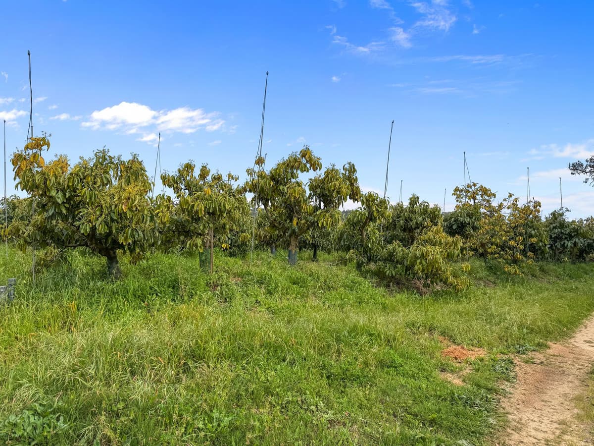 Detached Villa in Sotogrande — photo 1 of 10