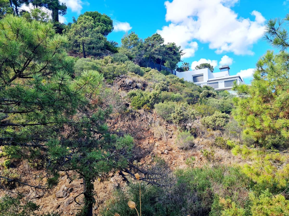 Residential Plot in El Madroñal — photo 6 of 7
