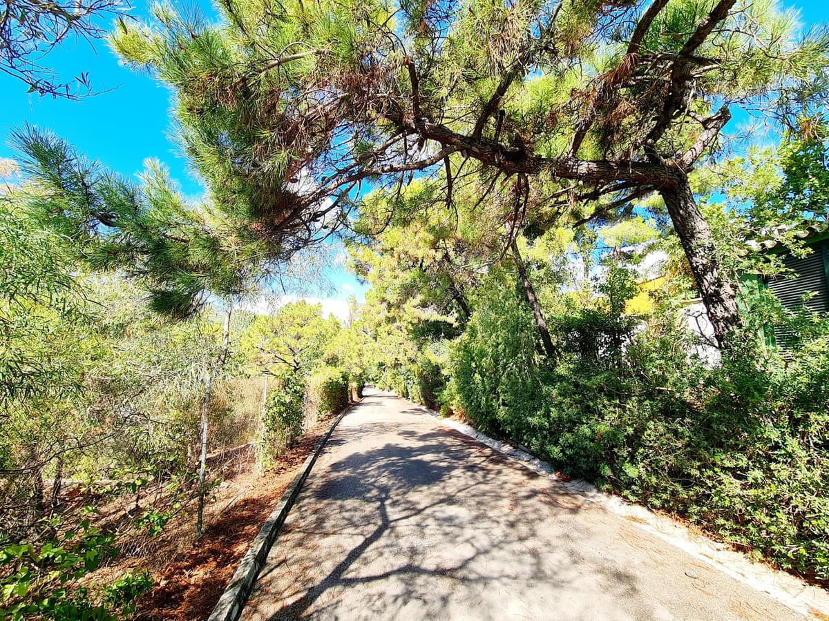 Residential Plot in El Madroñal — photo 7 of 7