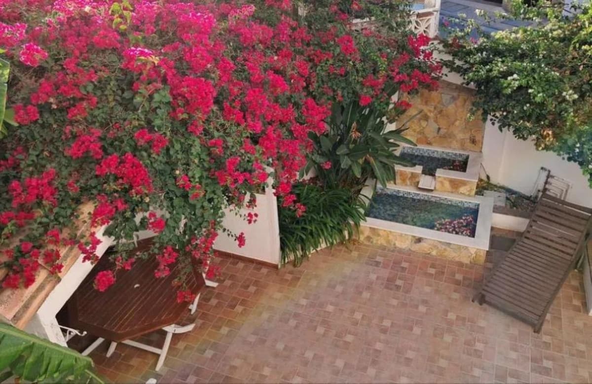 Semi-Detached House in Estepona — photo 1 of 10