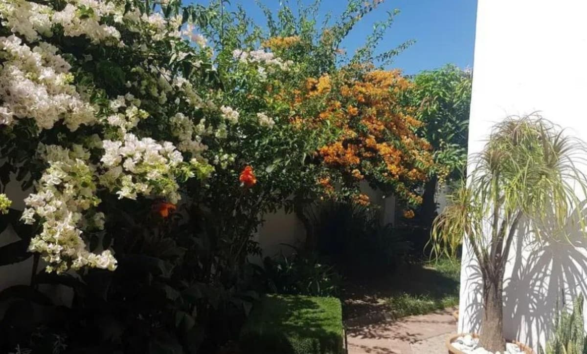 Semi-Detached House in Estepona — photo 10 of 10