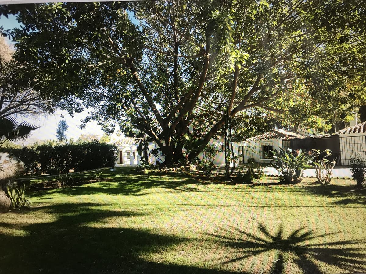 Detached Villa in Guadalmina Baja — photo 4 of 6