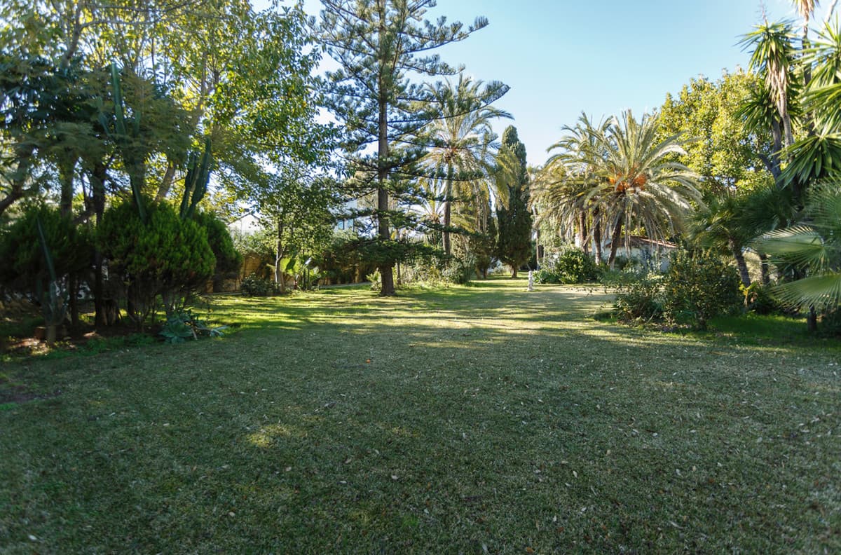 Detached Villa in Guadalmina Baja — photo 5 of 6