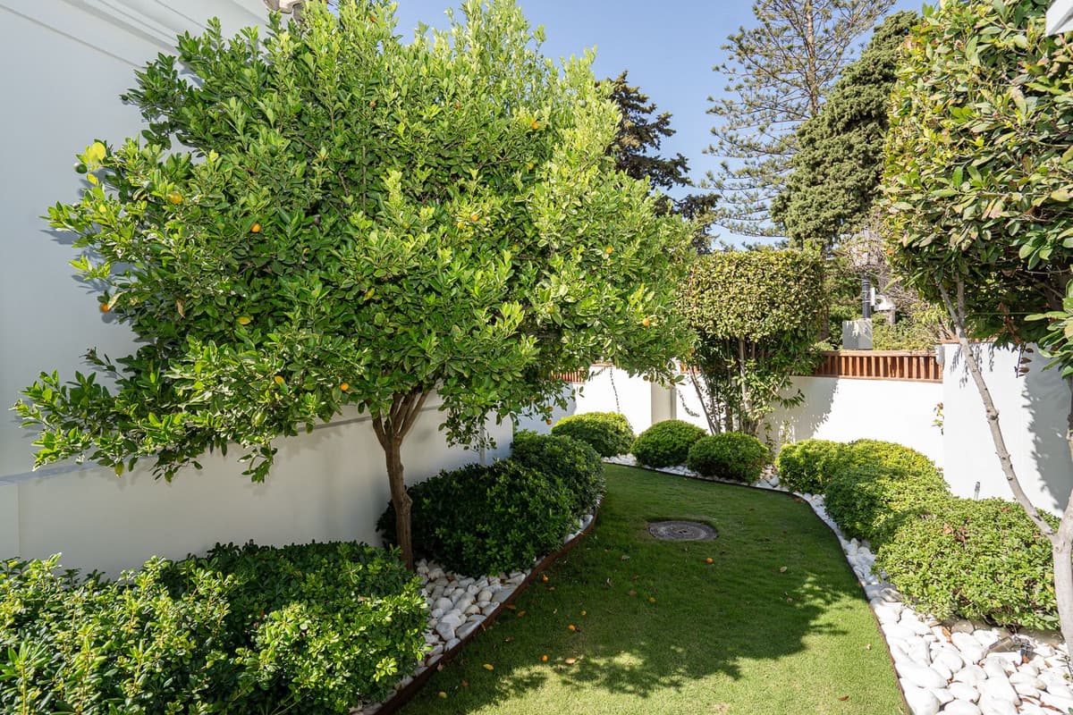 Detached Villa in Guadalmina Baja — photo 5 of 10