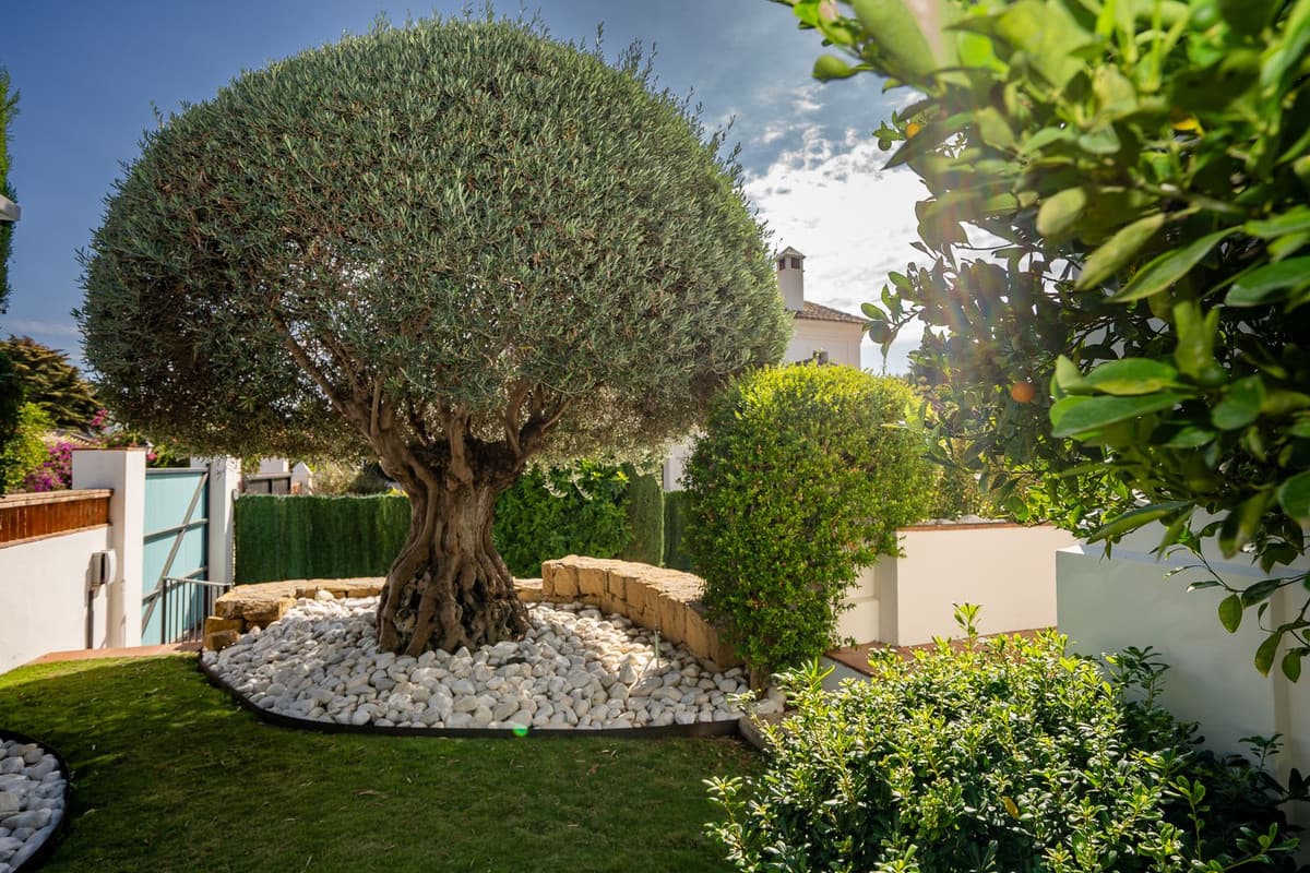 Detached Villa in Guadalmina Baja — photo 7 of 10